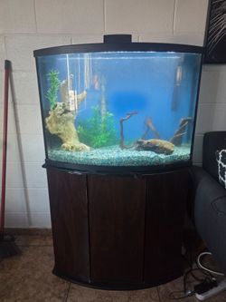 Fish tank and stand 65 gallons