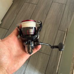 Fuego Lt3000d-c