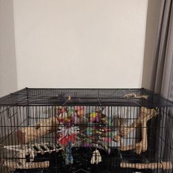 Bird Cage (Parakeet)