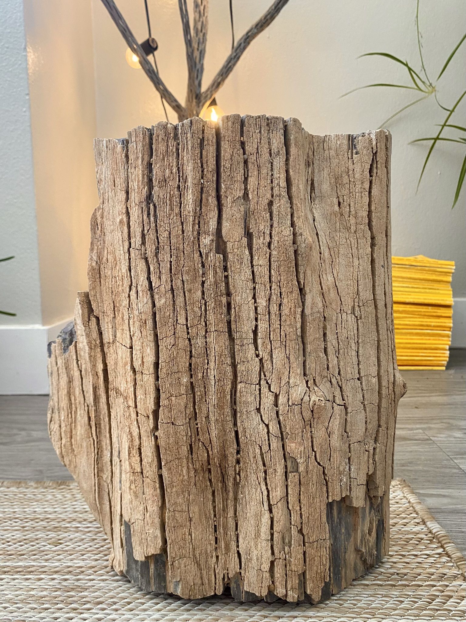 Petrified Wood