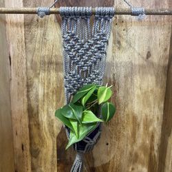 Handmade Macrame Holder, Plant Sold Separately 