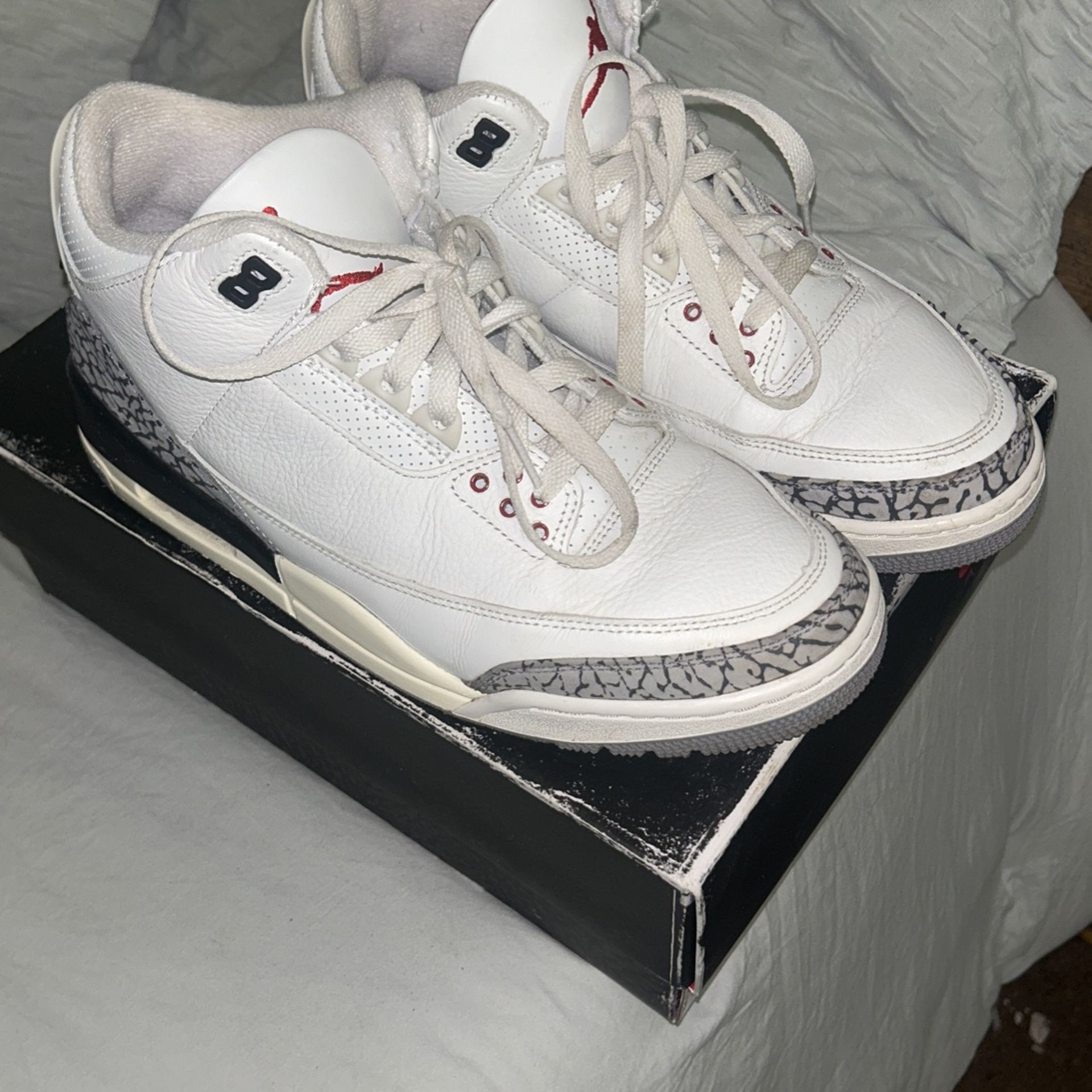 Retro Jordan 3 Summit 10