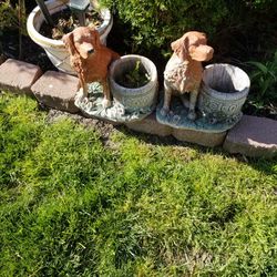 Dog Plant Pots 
