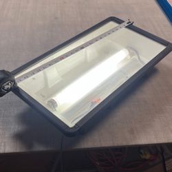 Light Box 24”