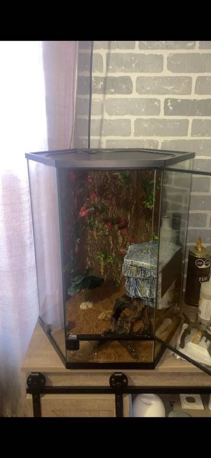 Thrive Vertical Hexagon Tropical Reptile Terrarium -20 Gallon