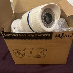 Fake Security Cams 