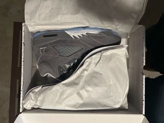 Jordan 5 Wolf Grey M12