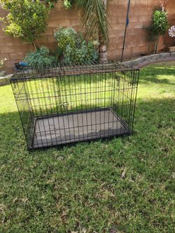 Large dog crate