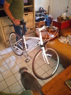 Specializedb. Roulux BMens Bikeh