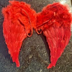 Angel Wings w/Shoulder Straps