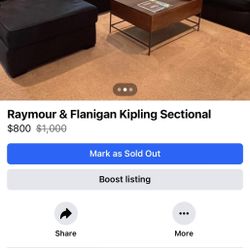 Blue sectional couch