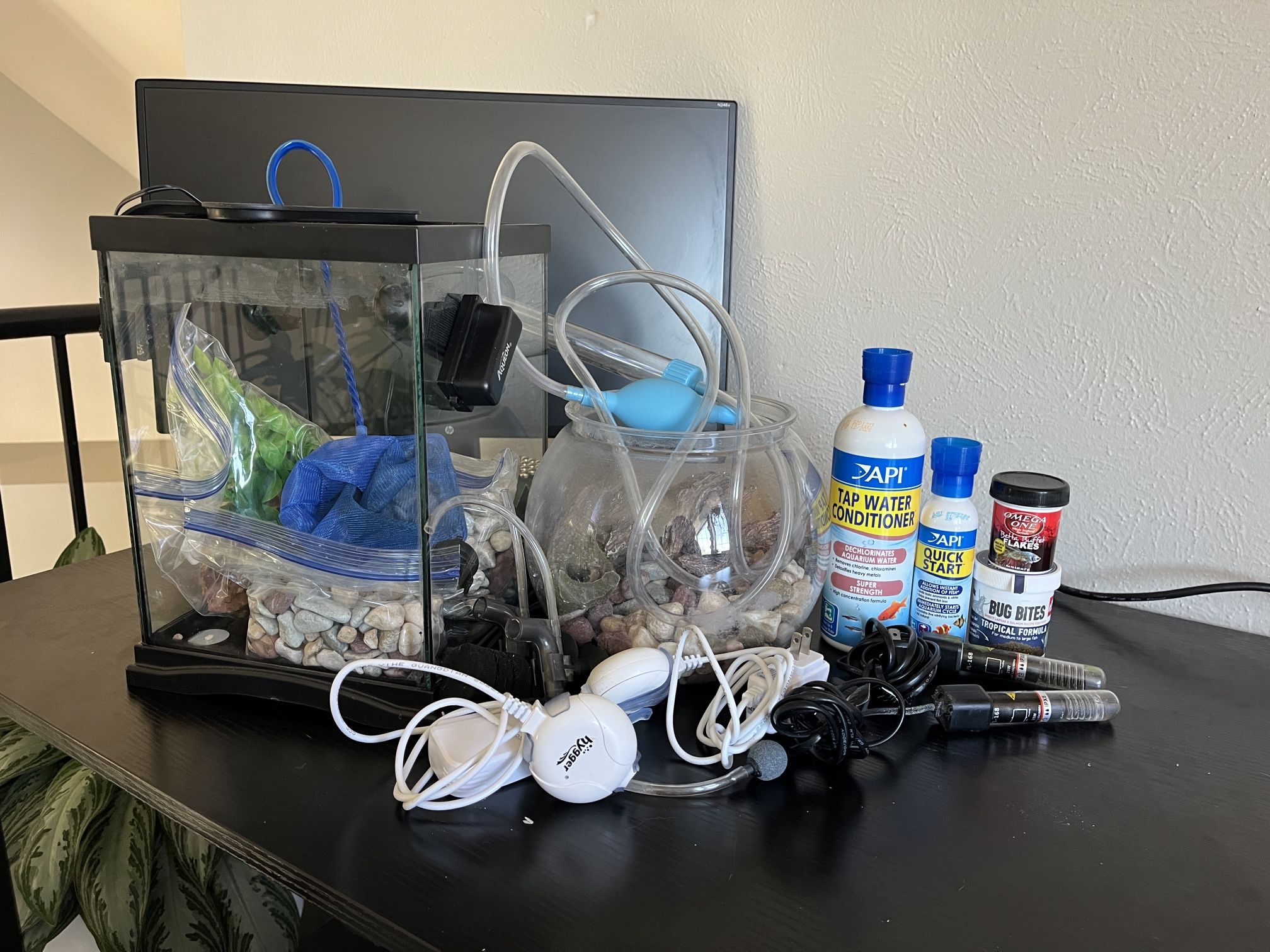Beta Fish Tanks, Food, Tank Heaters, Filters, Accessories