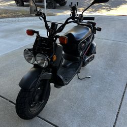 2012 Honda Ruckus