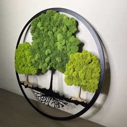 Three Trees Made of Preserved Reindeer Moss. Natural Interior Art