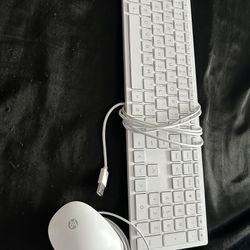 hp mouse and keyboard 