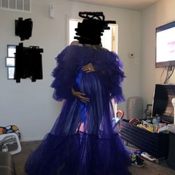 Sheer Tulle Dress Worn Once