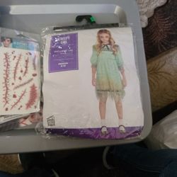 Little Girls Costume