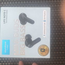 Soundcore Lifenote C Earbuds
