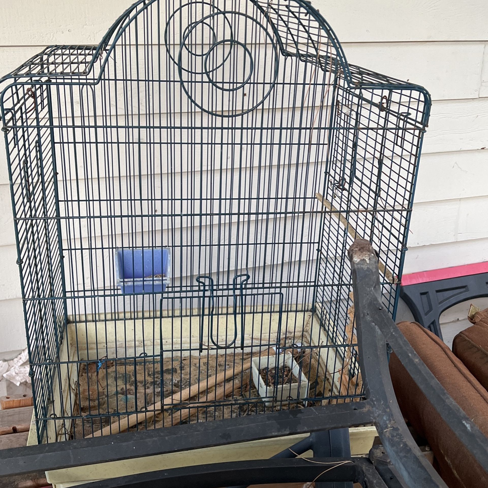 Bird Cage