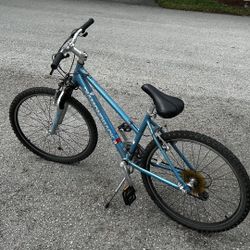 Diamondback Mountain Bike