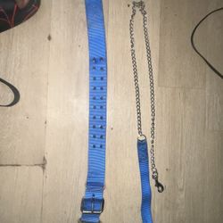 Dog Collar And Leash