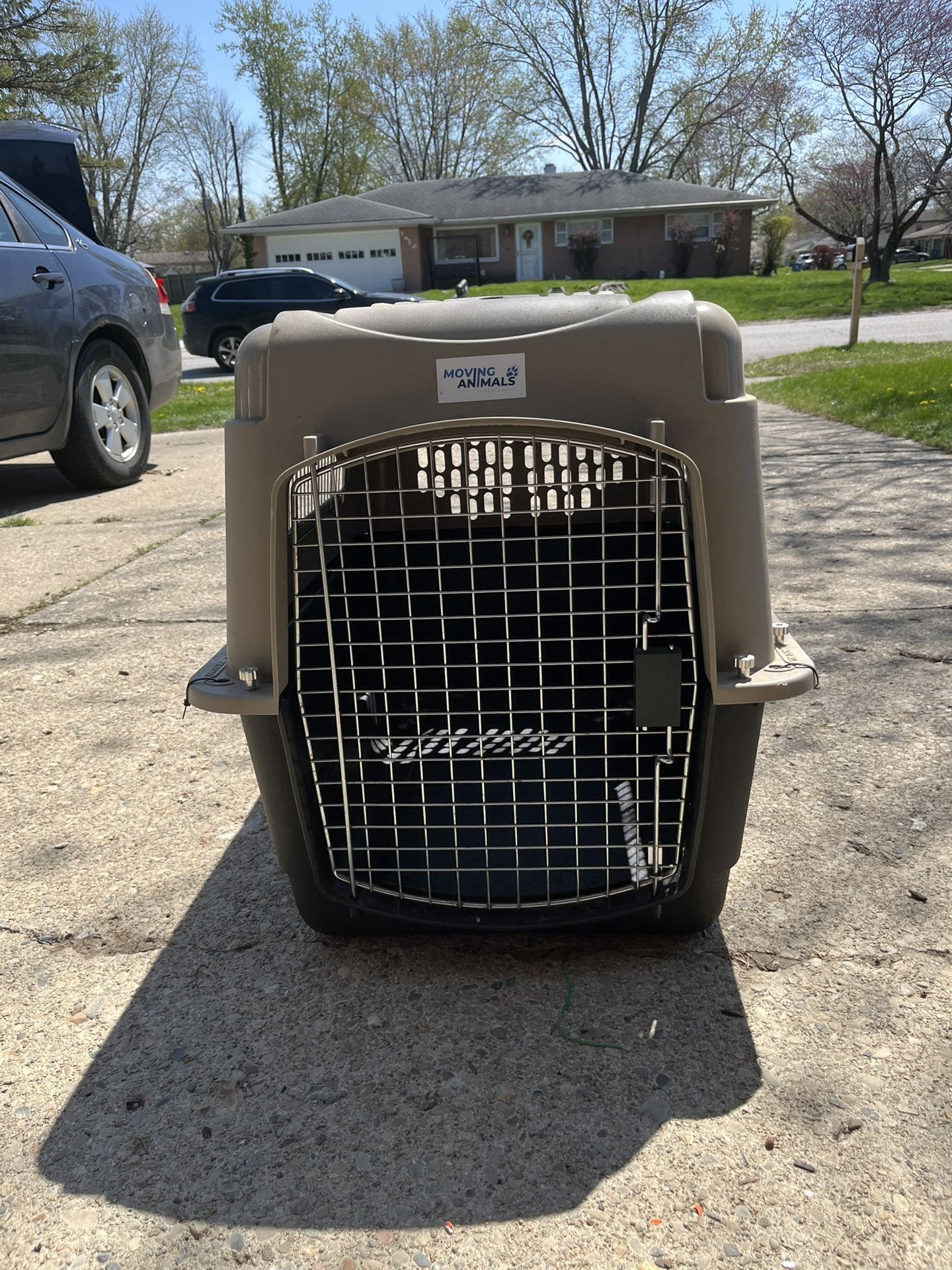 Dog Cage