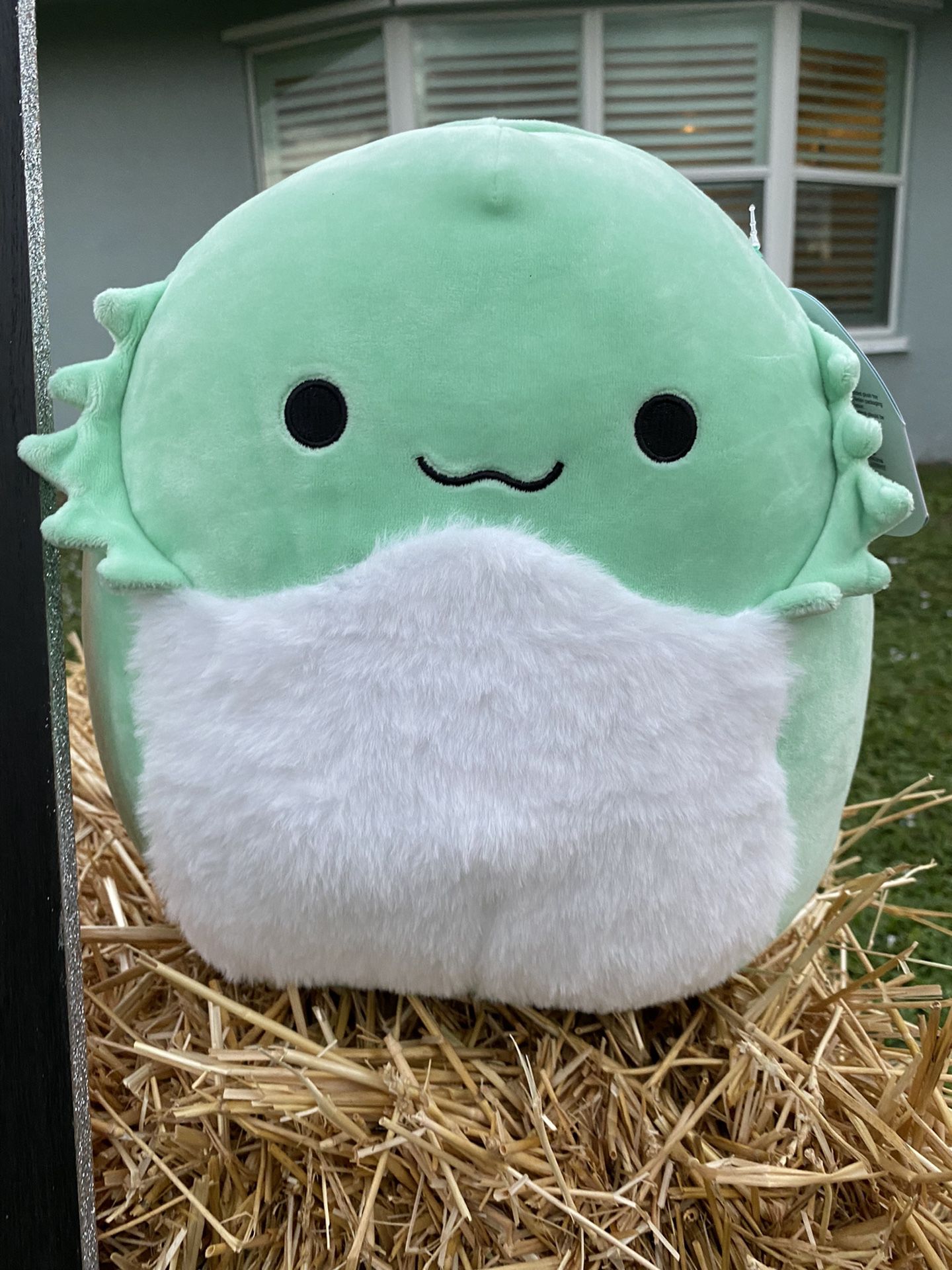 abe the squishmallow 11”