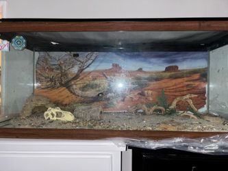 reptile tank comes with free decor and lights NEED GONE ASAPP