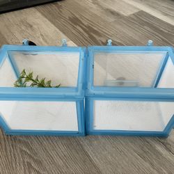Breeding Box 