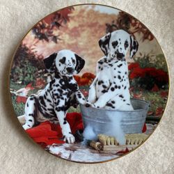 Plate The Hamilton Collection «You Missed a Spot» 1995 