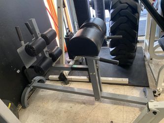 Exercise Glute Ham Developer Machine 