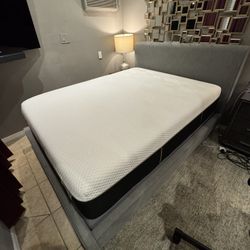 Queen Electric Adjustable Bed + Mattress