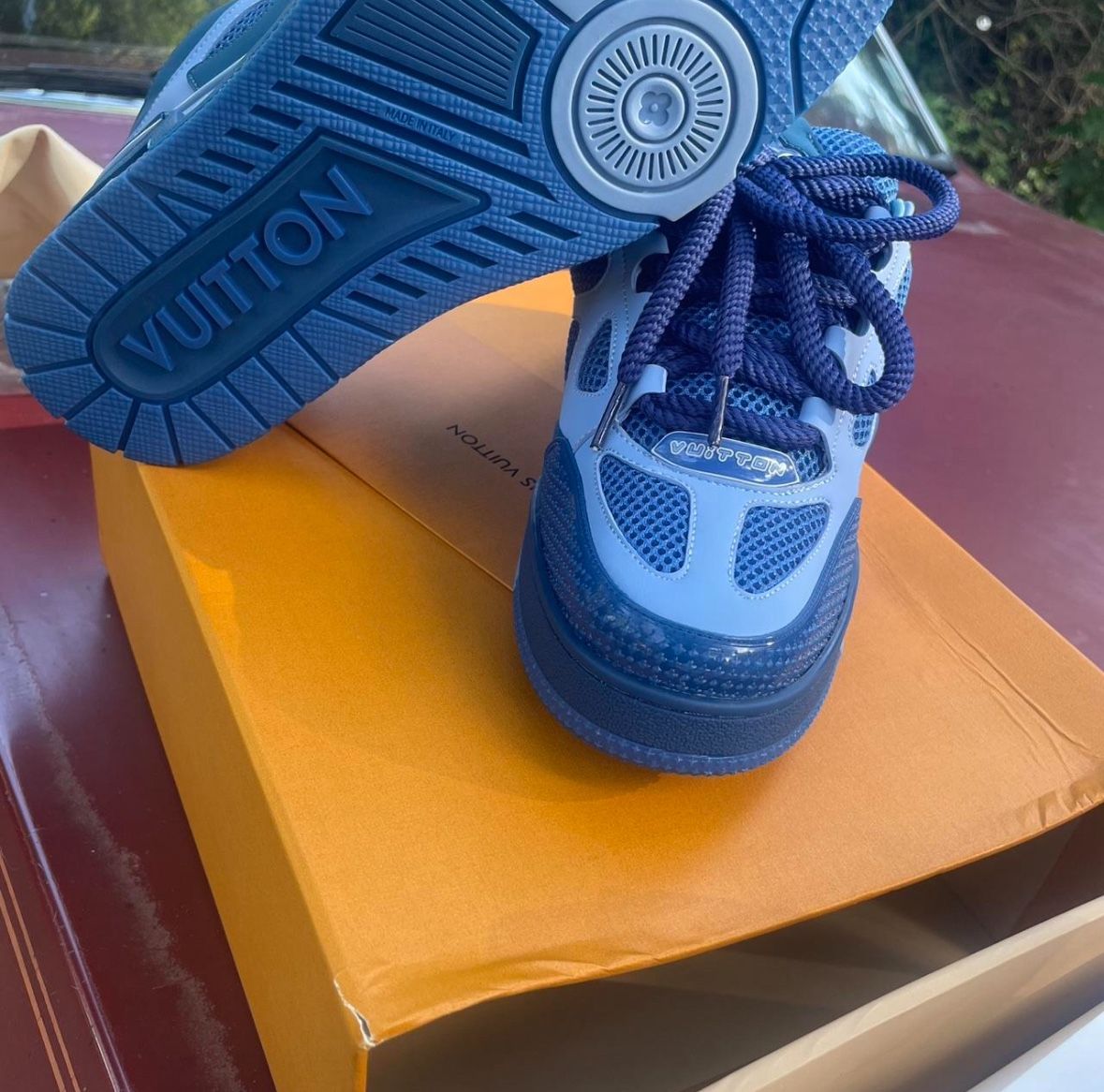 Louis Vuitton Skates Blue
