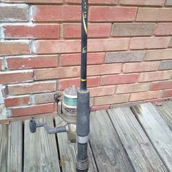 Black Beauty Rod and Quantum Reel