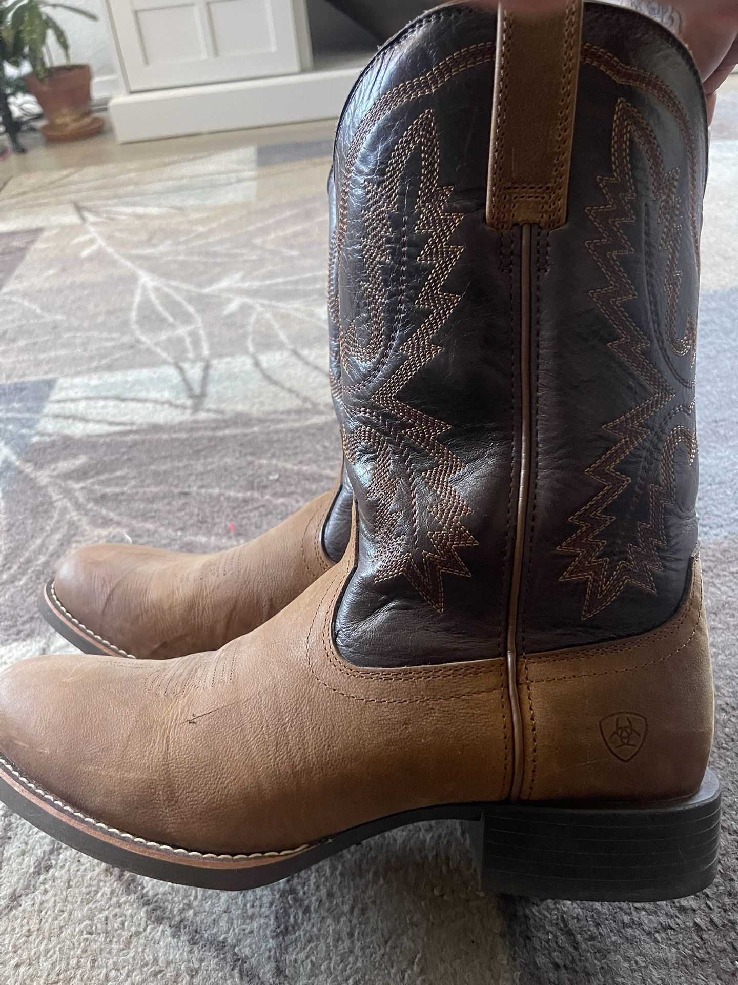 Ariat Boots