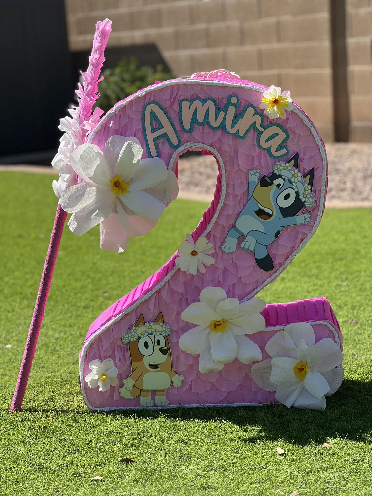 Custom Piñatas