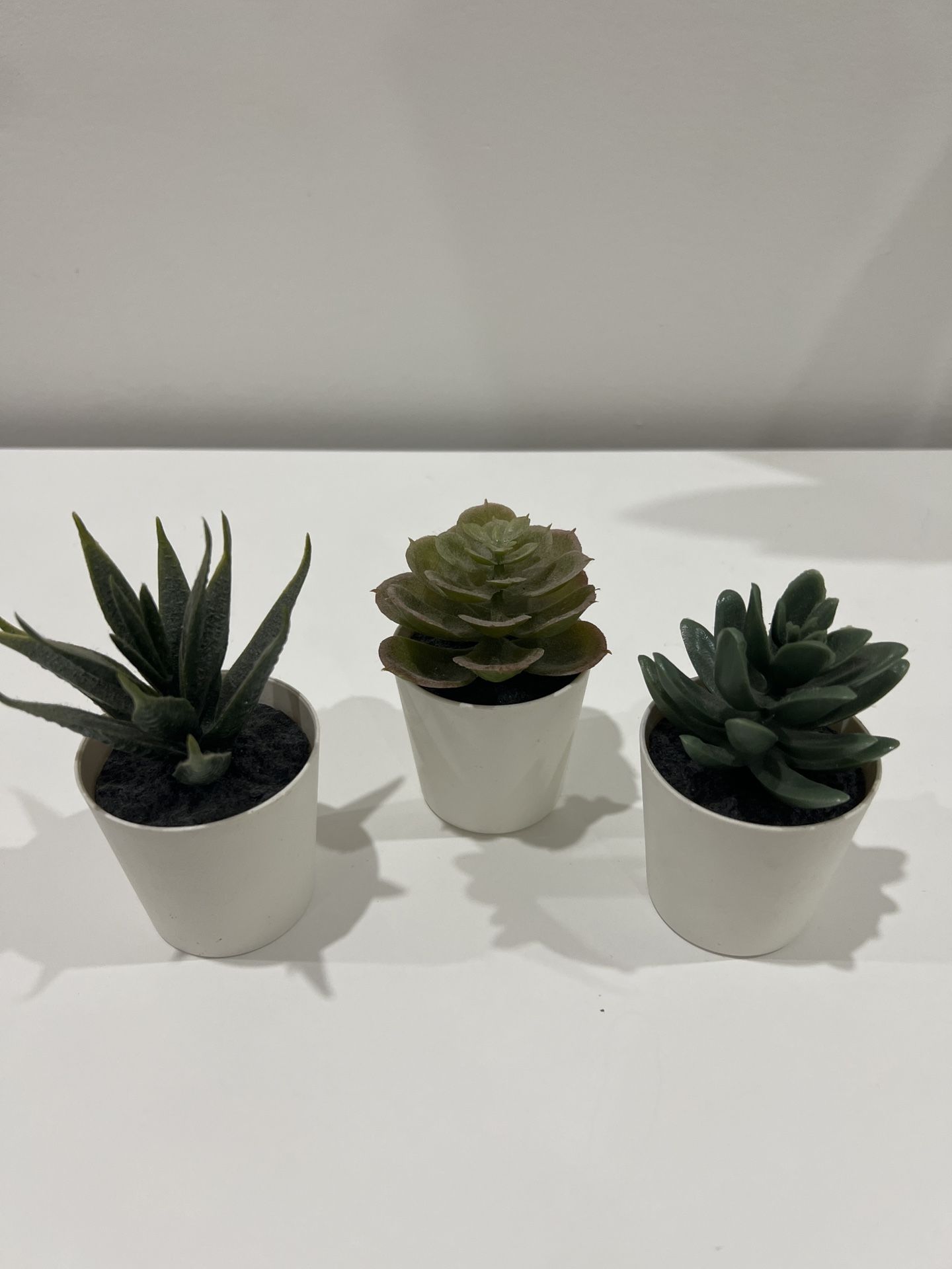 Artificial Succulent Trio