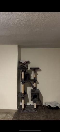 Cat Tree