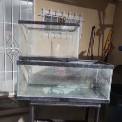 Fish tank reptile tank