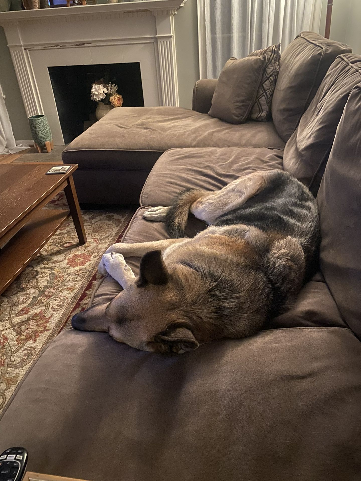 BIG ‘OL Brown Sofa