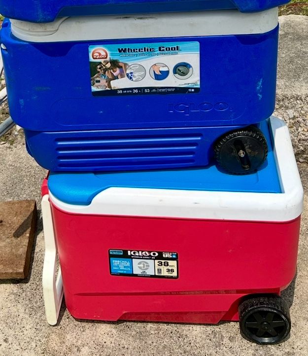Igloo 38 Qt Rolling Cooler (2 Available)