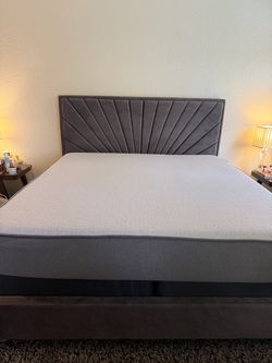 Gray Velvet Upholstered Bed Frame with Headboard