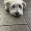 Casey