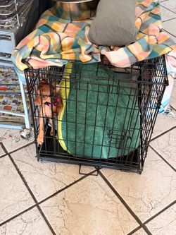Puppy kennel