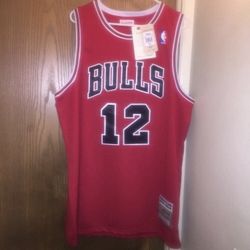 MICHEAL JORDAN MITCHE&NESS JERSEY 1990 VDAY LOST JERSEY 