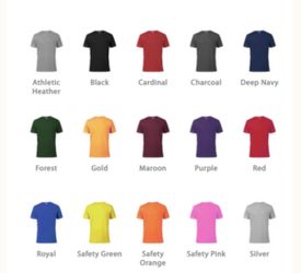 BULK WHOLESALE TSHIRTS! 100 For $250