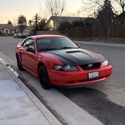 2000 Mustang v6
