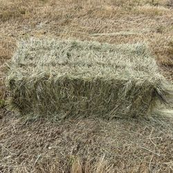 Local Grass Hay