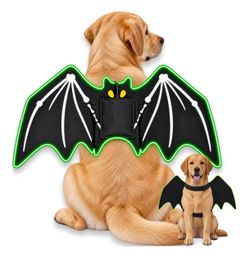 LED Bat Wings Pet Costume for Dogs