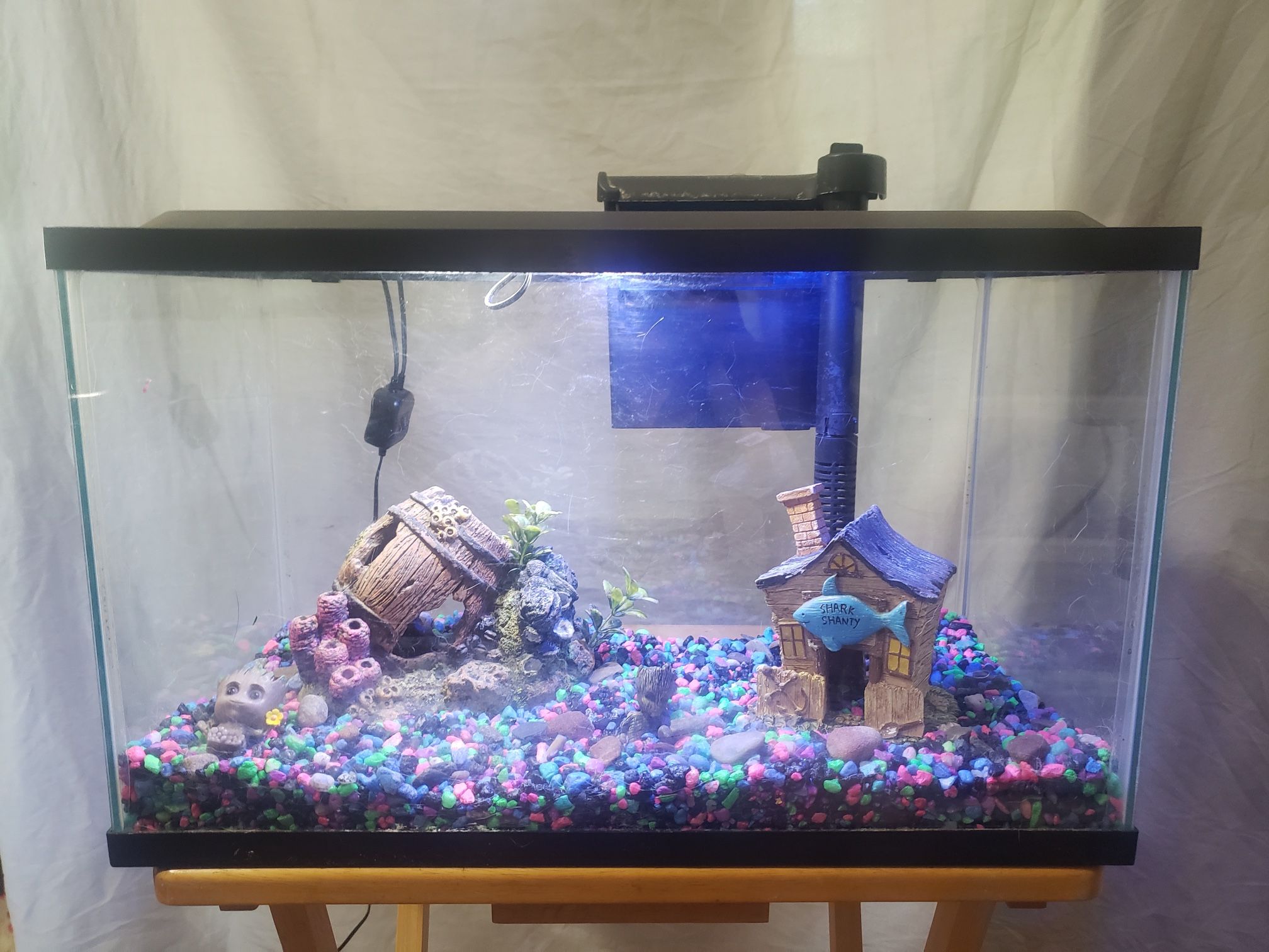 Fish Tank And Accessories 